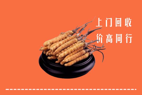 高价求购：沧州运河回收散虫草