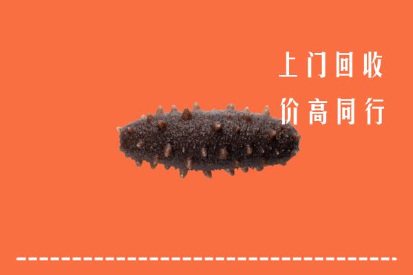 高价求购：沧州运河回收海参