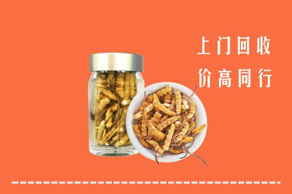 沧州运河回收冬虫夏草