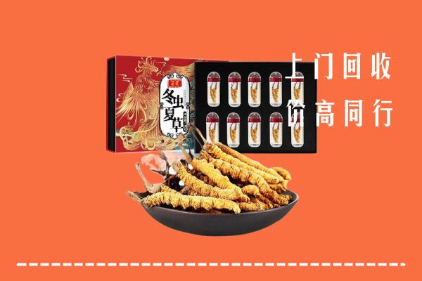 沧州运河回收虫草